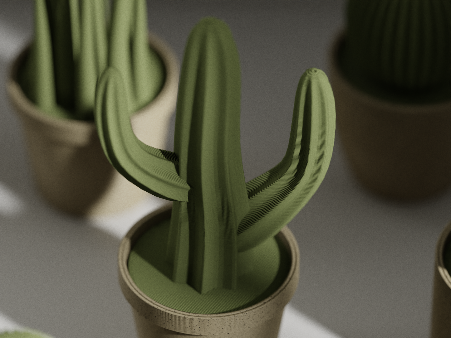 Cactus n°2 / other concept 1