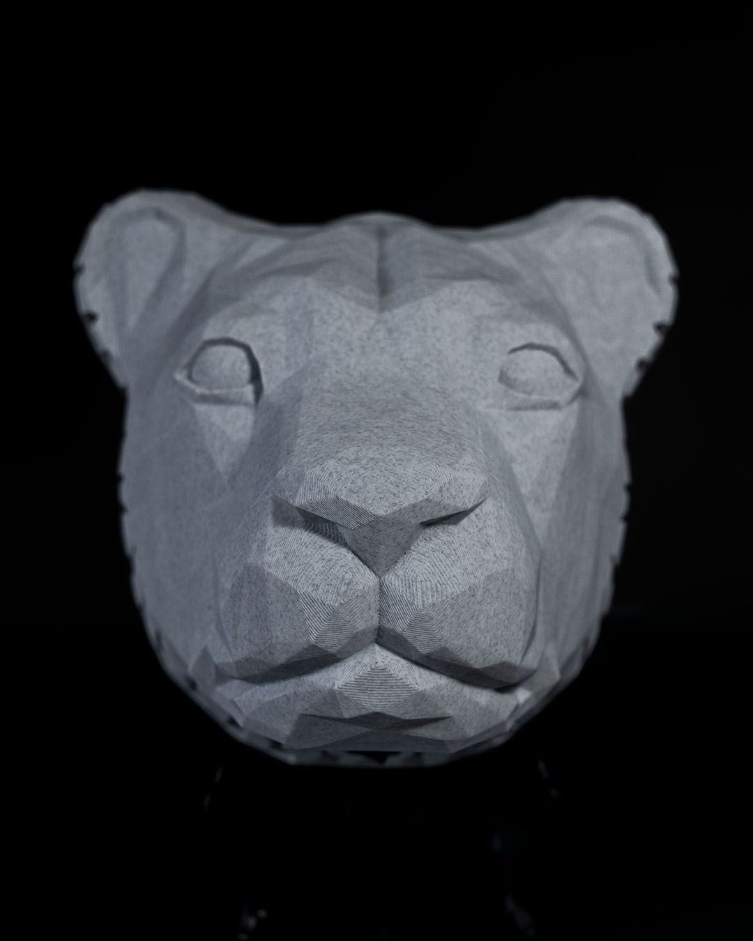 Applique Murale Lumineuse Lion