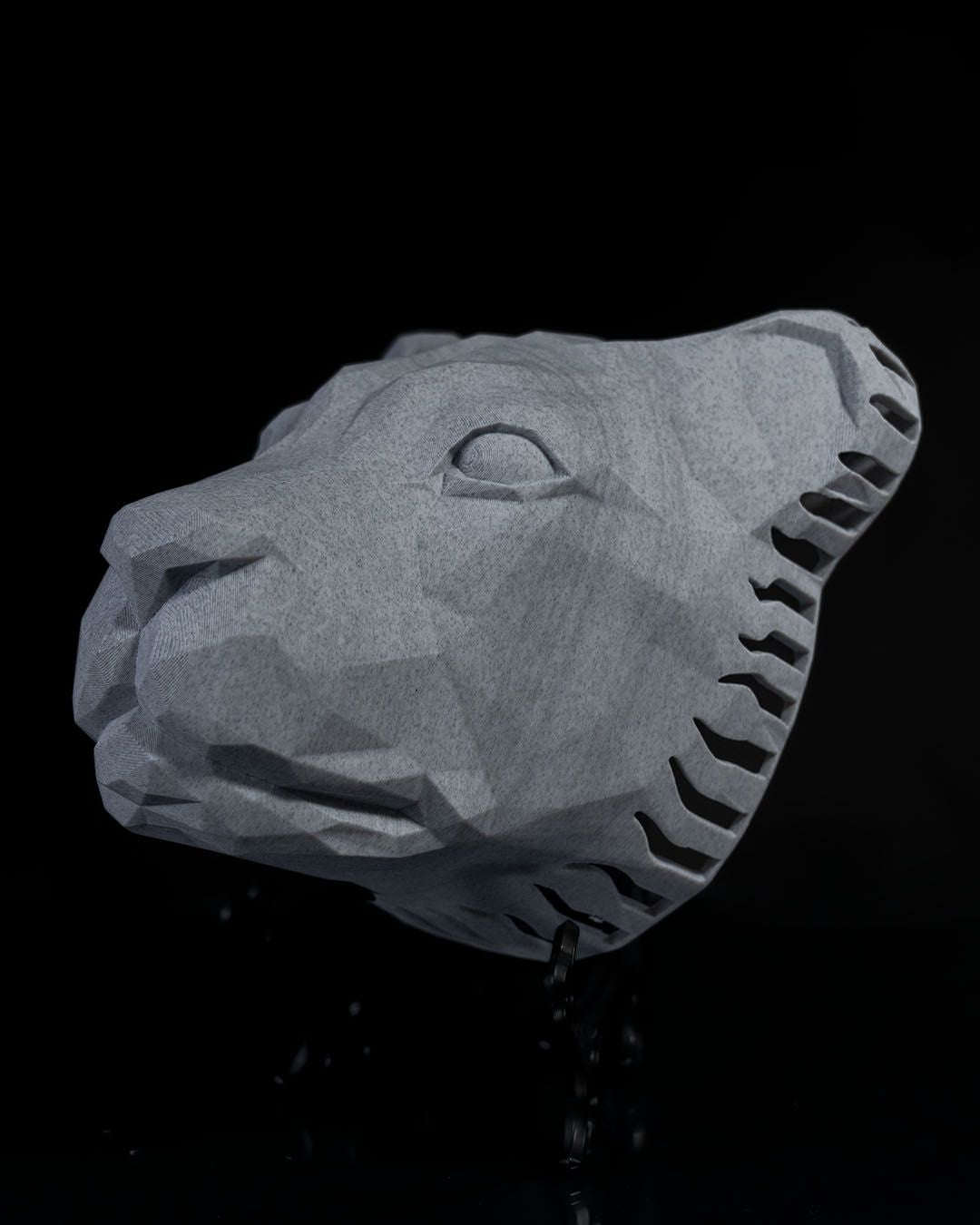 Applique Murale Lumineuse Lion
