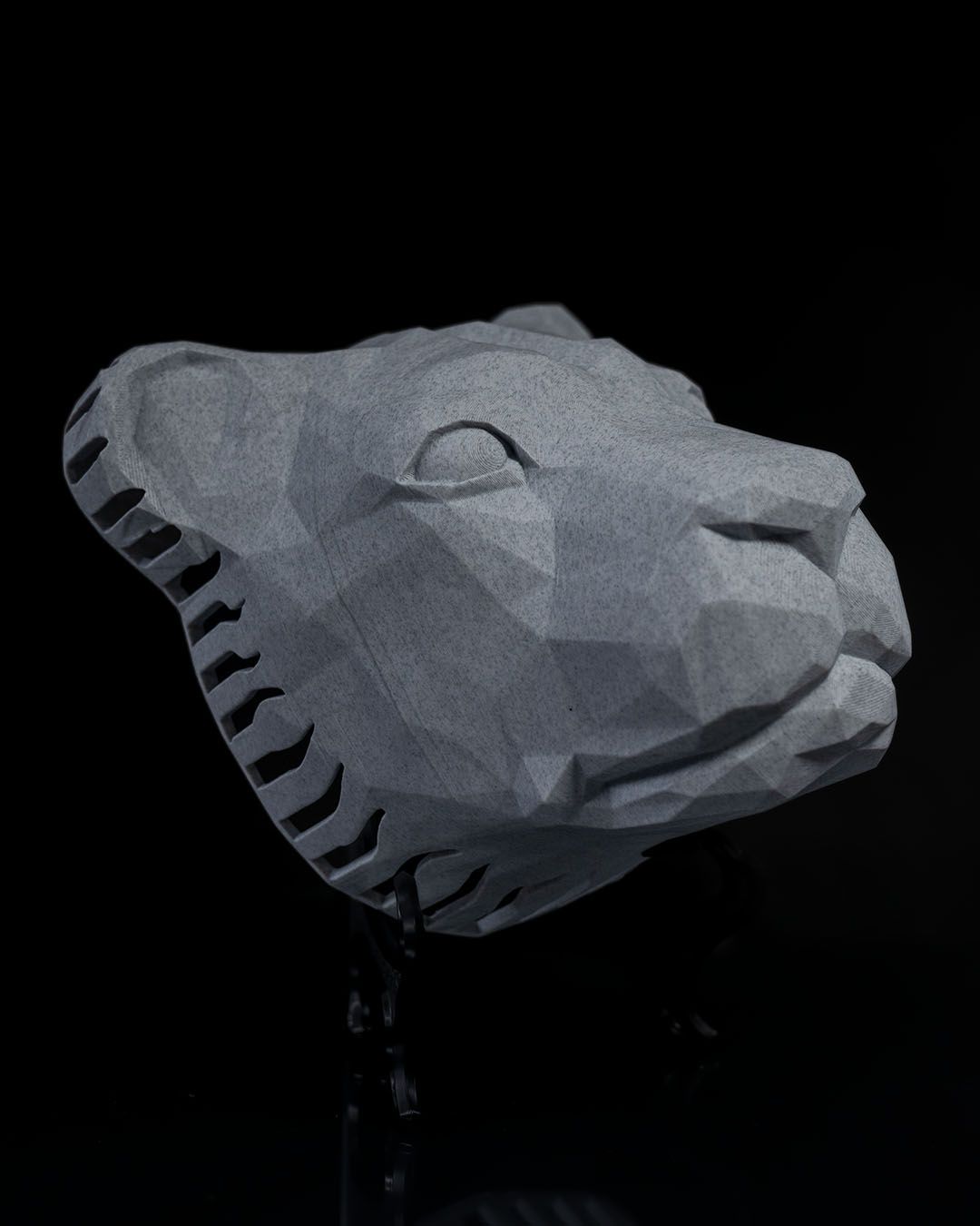 Applique Murale Lumineuse Lion