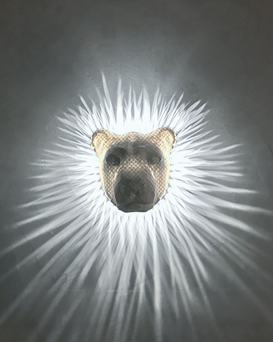 Applique Murale Lumineuse Lion