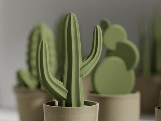 Cactus n°2 / other concept 1
